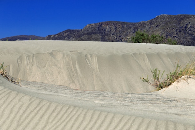 Gran playa Elafonisi. Grecia, Creta. Dunas de arena con hierba y cielo azul claro.