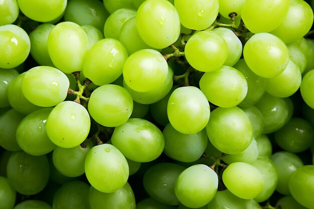 Un gran racimo de uvas verdes maduras bayas deliciosas y una alimentación saludable