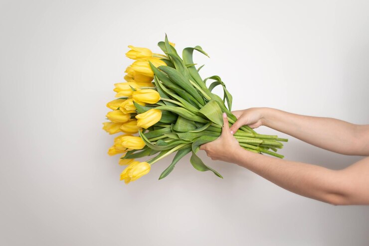 Un gran ramo de tulipanes amarillos en manos femeninas Tarjeta de felicitación con tulipanes brillantes