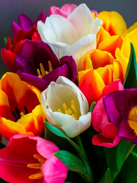 Gran ramo de tulipanes de colores de cerca