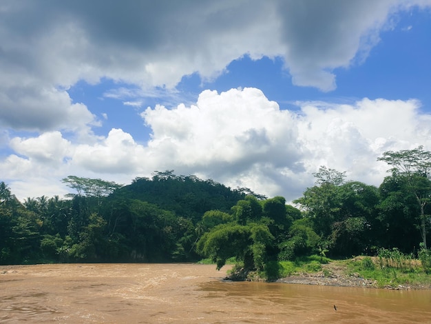 Gran río en el bosque tropical