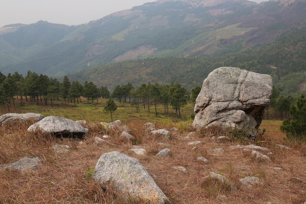 Foto una gran roca en un campo con una montaña al fondo