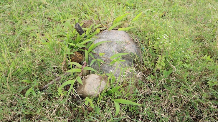 gran roca rodeada de hierba verde como fondo de la naturaleza