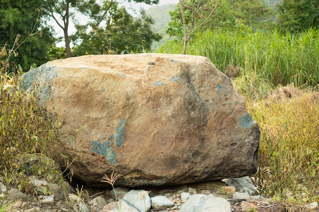 Una gran roca sedimentaria de guepardo en la naturaleza.