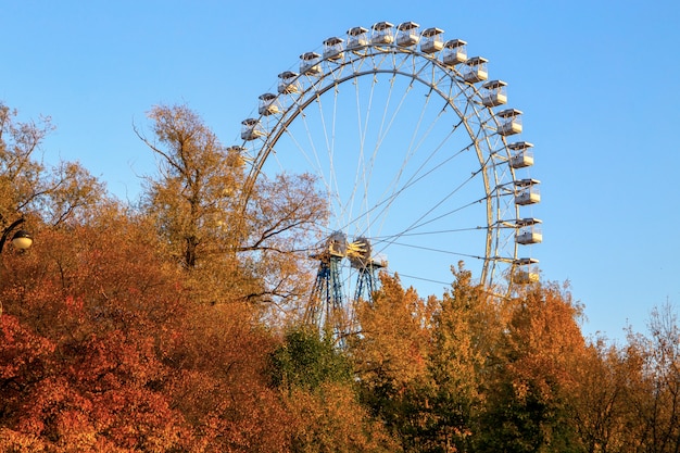 Gran rueda de observación en el parque de otoño en el cielo azul