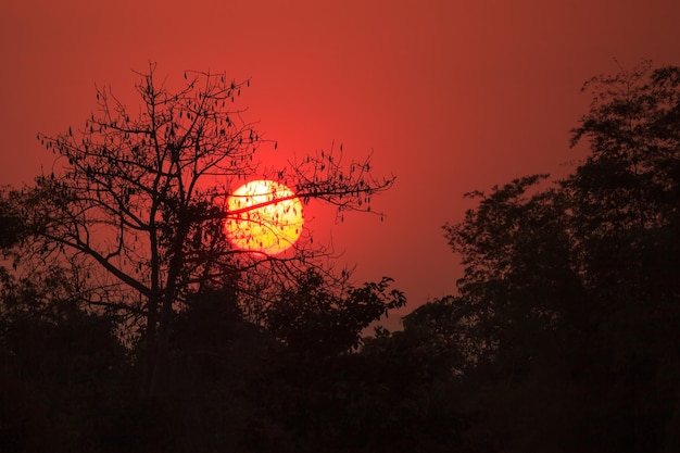 Gran Sol al atardecer