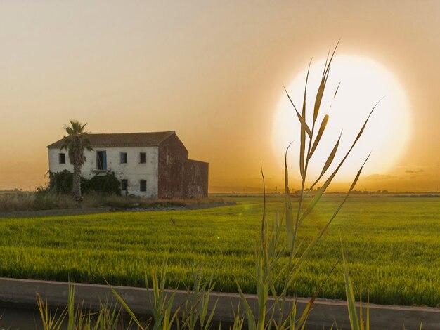 Foto un gran sol se está poniendo detrás de una casa.