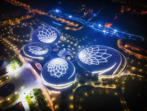 Gran teatro de Nanjing Jiangsu en la noche