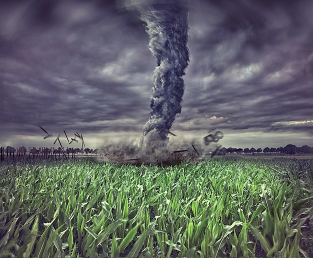 gran tornado