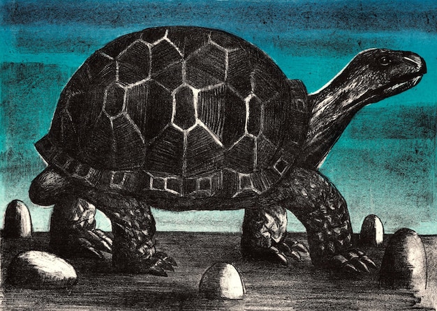 Gran tortuga