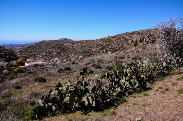 Foto gran valle en gran canaria, islas canarias, españa