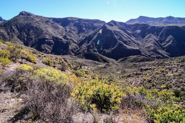 Gran Valle en Gran Canaria, Islas Canarias, España