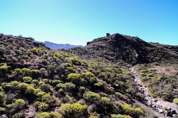 Gran Valle en Gran Canaria, Islas Canarias, España