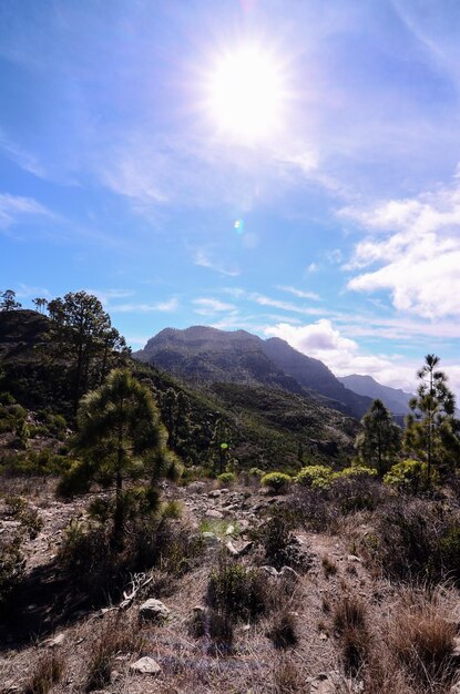 Gran Valle en Gran Canaria, Islas Canarias, España