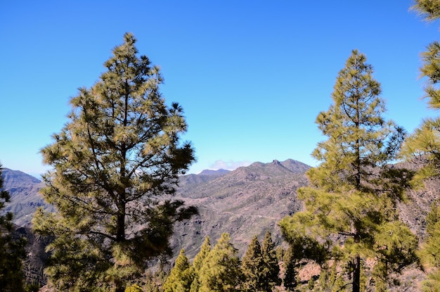 Gran Valle en Gran Canaria, Islas Canarias, España