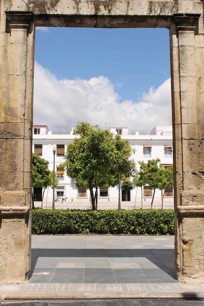 Foto una gran ventana con una vista de un edificio con un árbol en el medio