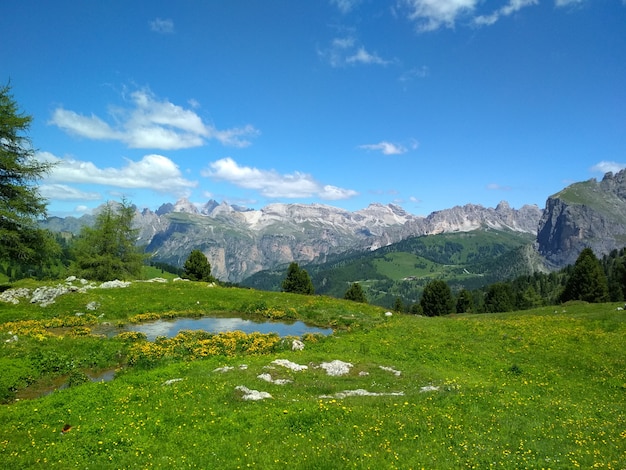 Gran vista de la gama de Cadini di Misurina en el Parque Nacional Tre Cime di Lavaredo. Dolomitas