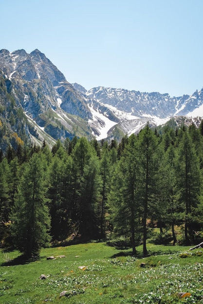 Una gran vista sobre un bosque italiano.