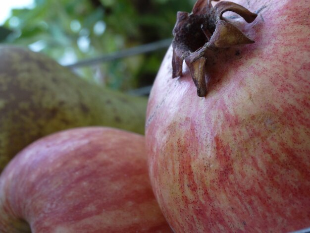 Foto granada entera sobre un fondo de manzana y pera