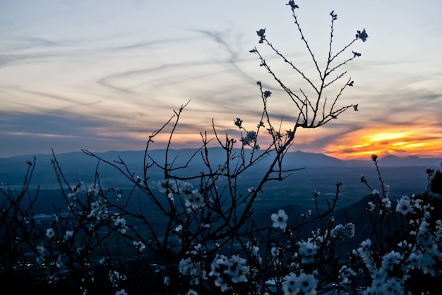 Foto granada sierra nevada-gebirgslandschaft