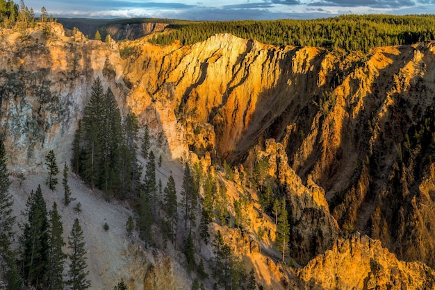 Grand Canyon de Yellowstone