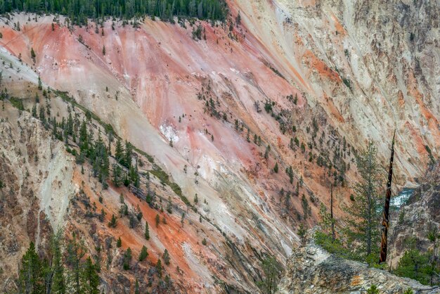 Grand Canyon von Yellowstone