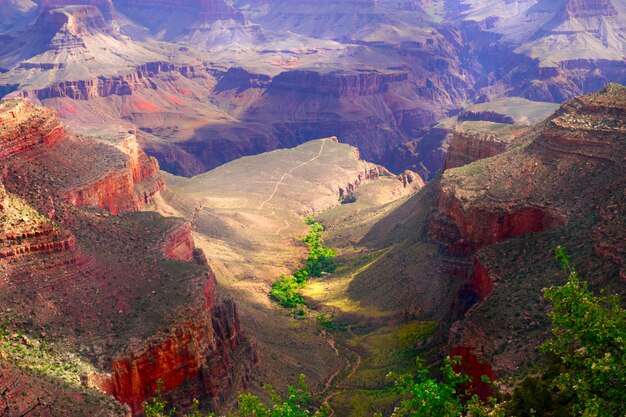 Grand canyon