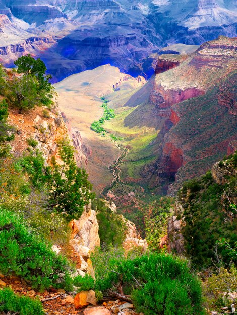 Grand canyon