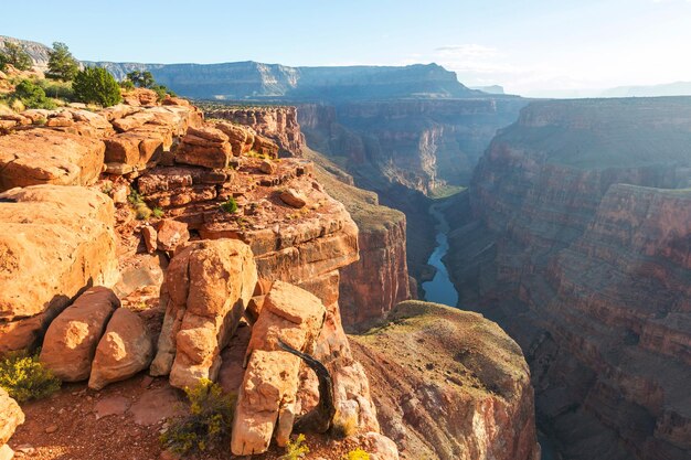 Grand Canyon