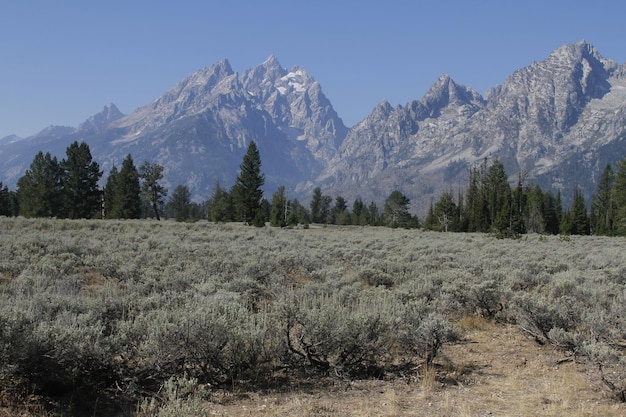 Grand-Teton-Nationalpark in Wyoming, USA