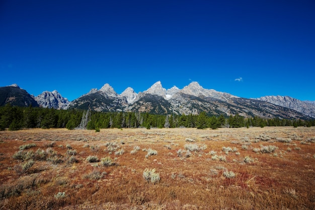 Grand Teton Nationalpark, Wyoming, USA. Instagram Filter.