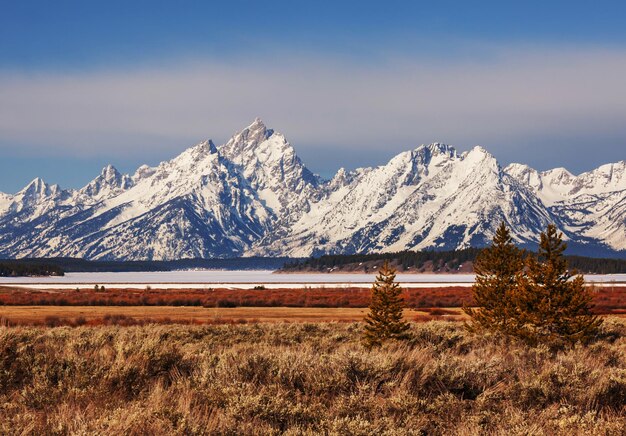 Grand Teton