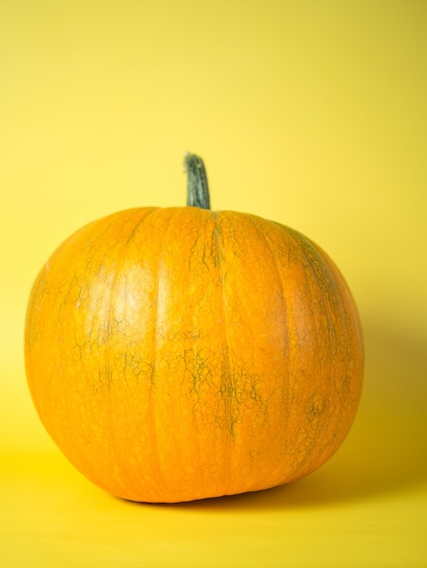 Grande abóbora laranja em um conceito de outono de fundo amarelo