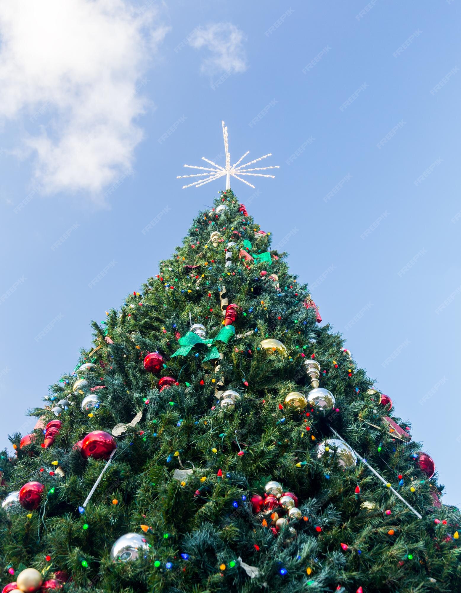 Grande árvore de natal externa decorada | Foto Premium Grande árvore de natal externa decorada | Foto Premium