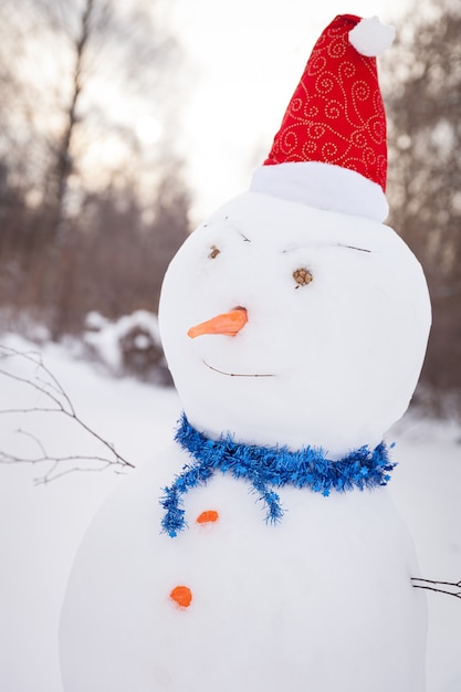 Foto grande boneco de neve no parque com um chapéu vermelho com uma cenoura e um lenço em um dia frio de inverno no parque