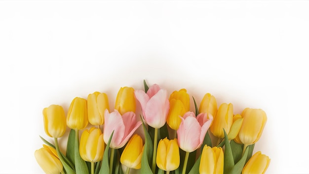 Grande buquê de amarelo com tulipas cor-de-rosa em fundo branco