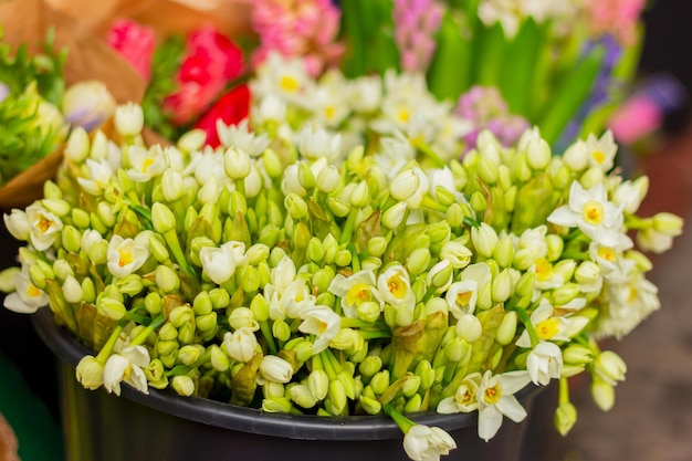 Grande buquê de pequenas flores brancas de narciso de primavera em um balde em uma loja