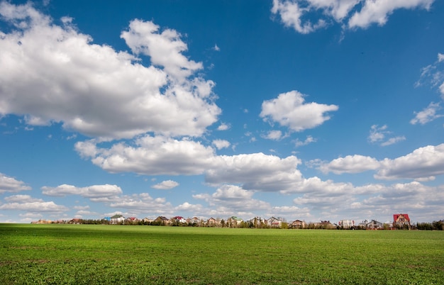 Grande campo de trigo de inverno, vila e nuvens do céu