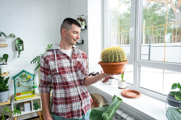 Grande echinocactus Gruzoni nas mãos do homem no interior perto da janela no parapeito da janela de plantas domésticas Criador de plantas de produção agrícola em casa admirando um cacto em uma panela