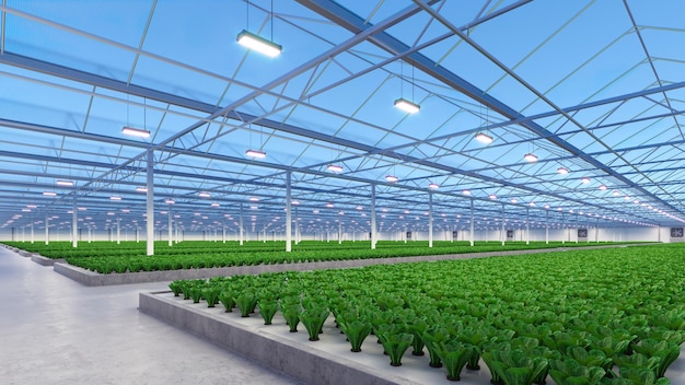 Grande estufa industrial interior Fábrica de vegetais hidropônicos internos Fazenda de salada verde Piso de concreto renderização 3D