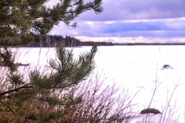 Grande exibição da imagem do lago de gelo da floresta de inverno. paisagem panorâmica com árvores nevadas, céu azul com nuvens, incrível lago congelado com água gelada. tempo frio nublado de inverno sazonal de fundo. copie o espaço