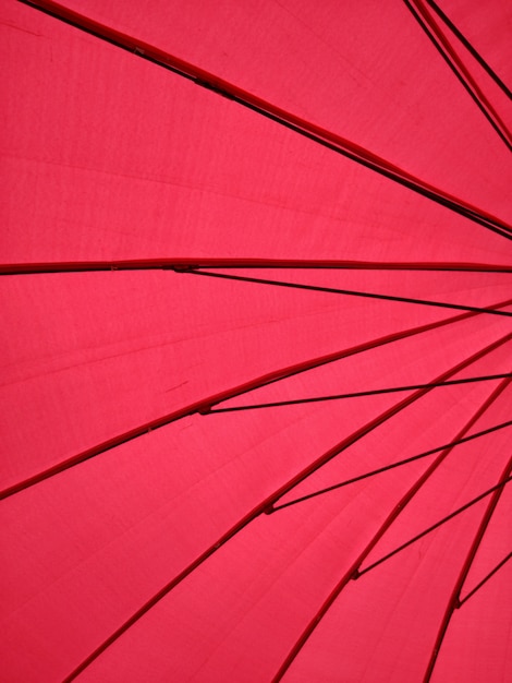 grande guarda-chuva