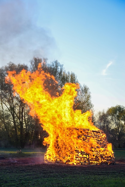 Grande incêndio na floresta chama e fumaça