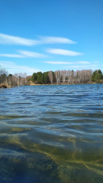 Grande lindo lago na primavera