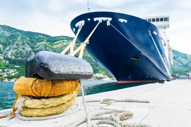 Grande navio de cruzeiro no porto