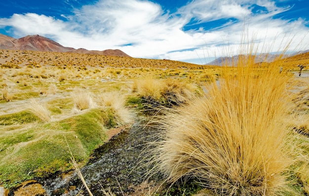 Grande paisagem montanhosa da Bolívia no verão