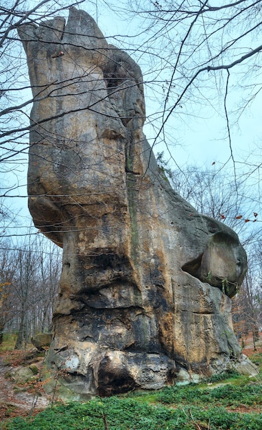 Foto grande pedra elevada na floresta de outono (