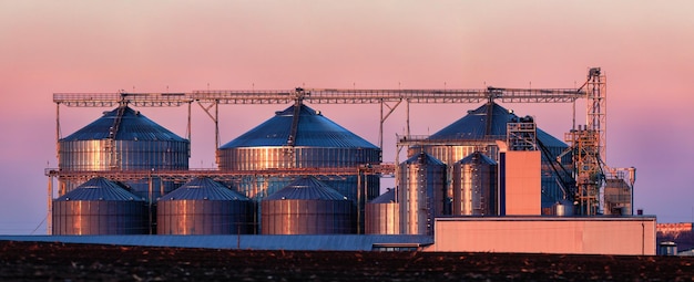 Grande planta de processamento de grãos agrícolas ao pôr do sol