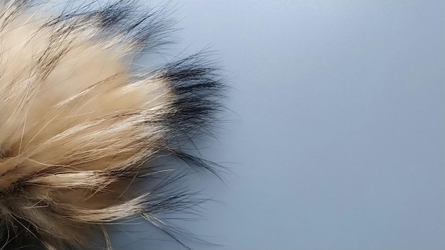 Grande pompom macio feito de pele natural marrom ou bege claro Acessório macio e agradável ao toque Bonés Elemento de design para roupas infantis de inverno Material macio e fofo