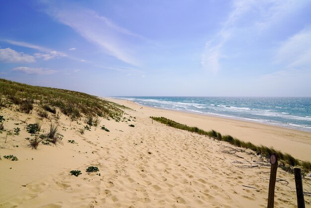 Grande praia de areia de dunas na costa do oceano atlântico de le porge frança